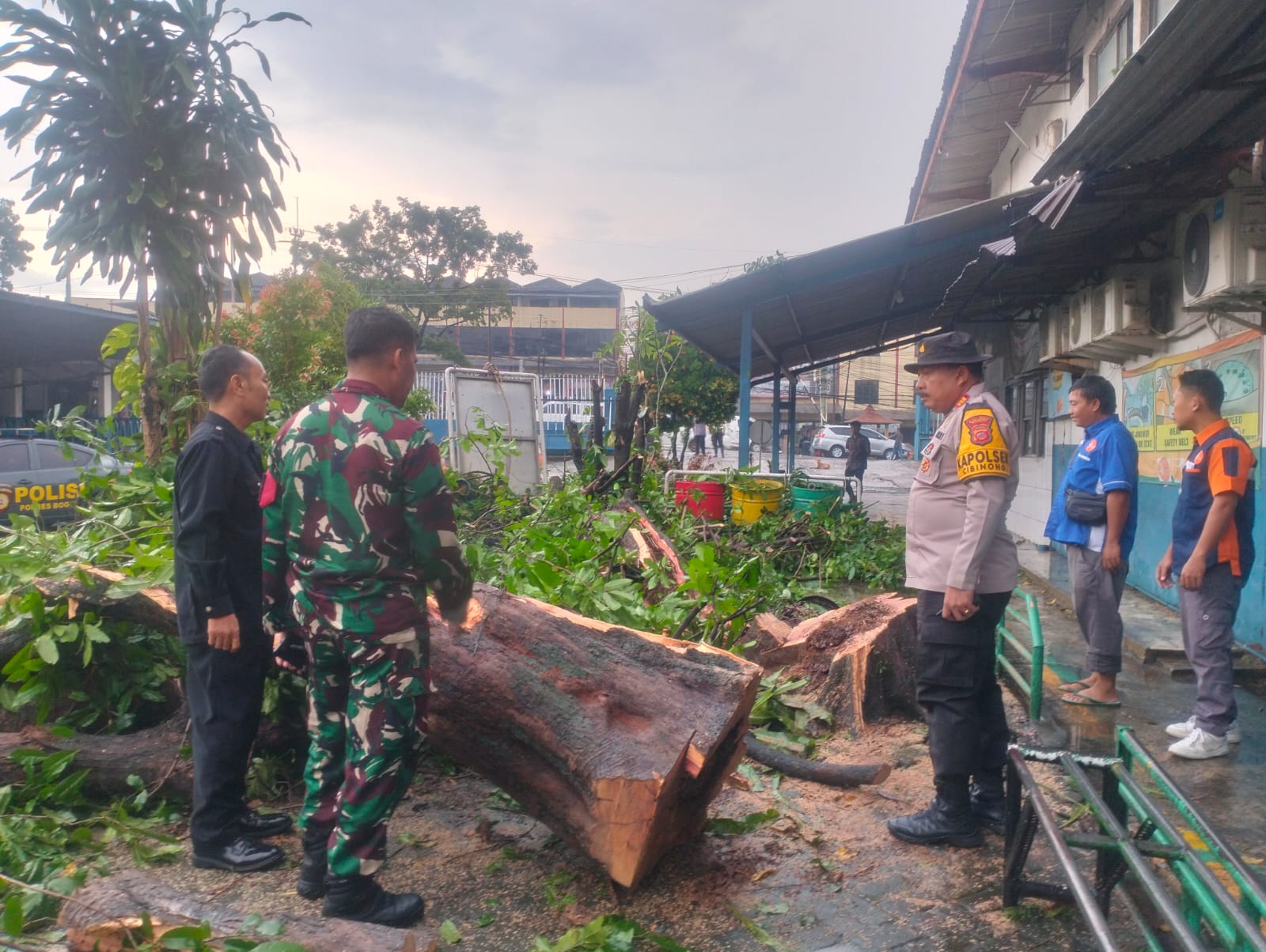 5ddb4c27-2941-4f81-9460-e0d189289bdb